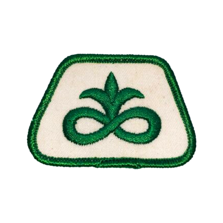Vintage PIONEER SEED CORN Small Patch